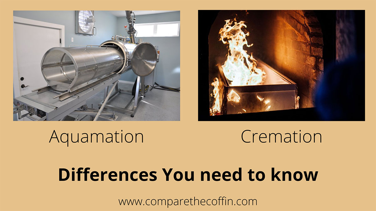 Aquamation Vs. Cremation: Differences You Need To Know